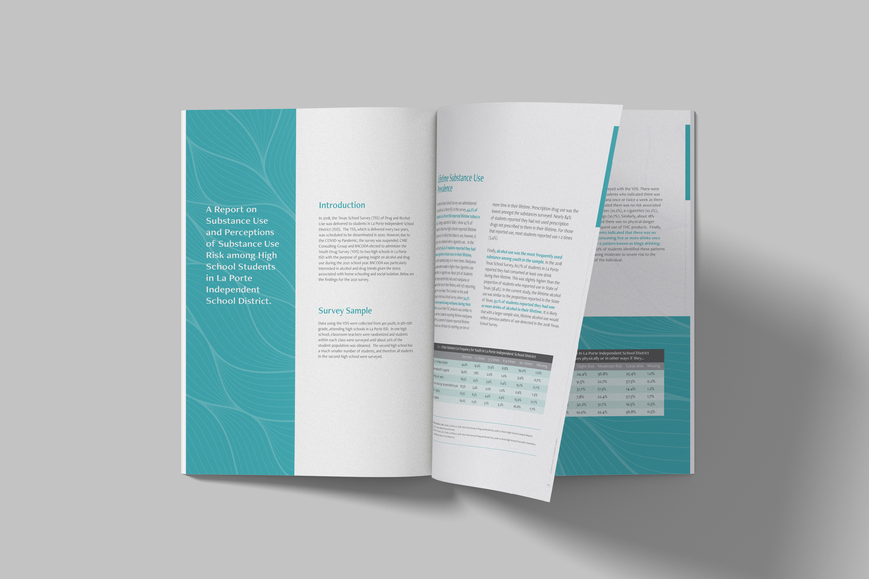 Report Booklet Design, Brochure Design, Graphic Design