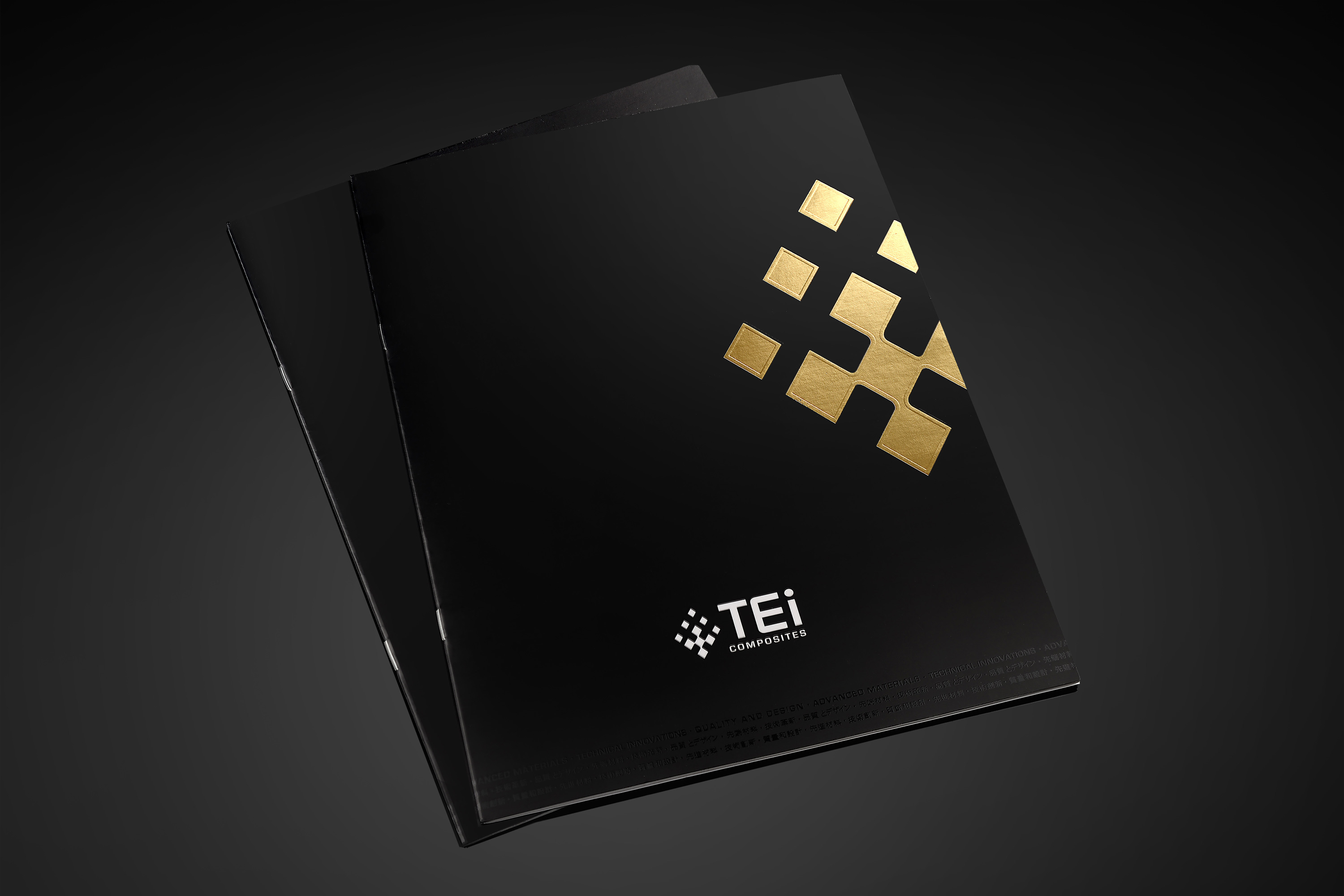 Branding, Brand Identity Design, Logo Design, Catalog Design, Booklet Design, Brochure Design, Graphic Design